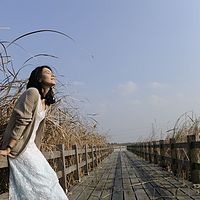 因蓝秋而绽放的杭州湾湿地公园