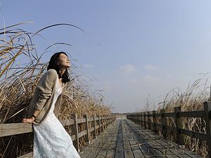 因蓝秋而绽放的杭州湾湿地公园